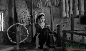 Hình tượng người phụ nữ trong văn học Trung Đại Việt Nam