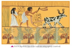 Giải Lịch sử lớp 6 sách Kết nối, bài 7: Ai Cập và Lưỡng Hà cổ đại