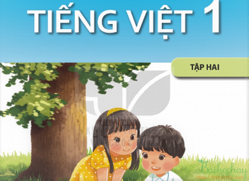 Bộ 8 đề ôn tập cuối học kì 1 - Tiếng Việt 1 - Kết nối tri thức với cuộc sống